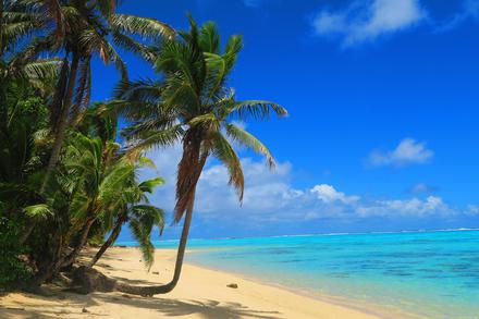 South Pacific Island Accommodation, Activities and Travel Guides – Jasons