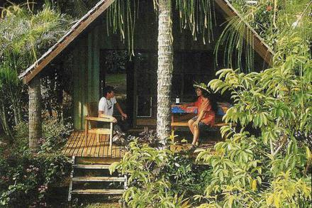 South Pacific Island Accommodation Activities And Travel Guides